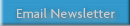 Email Newsletter